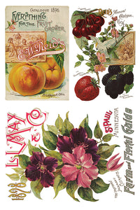 Seed Catalogue IOD™ Transfer Iron Orchid Designs