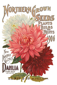 Seed Catalogue IOD™ Transfer Iron Orchid Designs