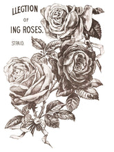 Load image into Gallery viewer, Mays Roses IOD™ Transfer Iron Orchid Design
