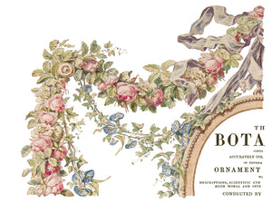 The Botanist IOD™ Transfer Iron Orchid Designs