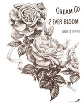 Load image into Gallery viewer, Mays Roses IOD™ Transfer Iron Orchid Design
