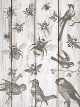 Load image into Gallery viewer, Birds &amp; Bees IOD™ Stamp Iron Orchid Designs
