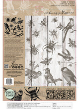 Load image into Gallery viewer, Birds &amp; Bees IOD™ Stamp Iron Orchid Designs
