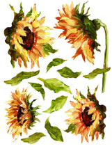 Load image into Gallery viewer, Painterly Florals IOD™ Transfer Iron Orchid Designs
