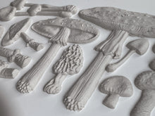 Load image into Gallery viewer, Toadstool Mould IOD™ Iron Orchid Design
