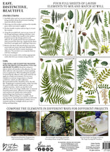 Load image into Gallery viewer, Fronds Botanical IOD™ Transfer Iron Orchid Design
